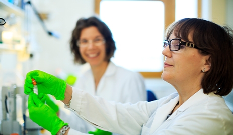 bioinvent lab
